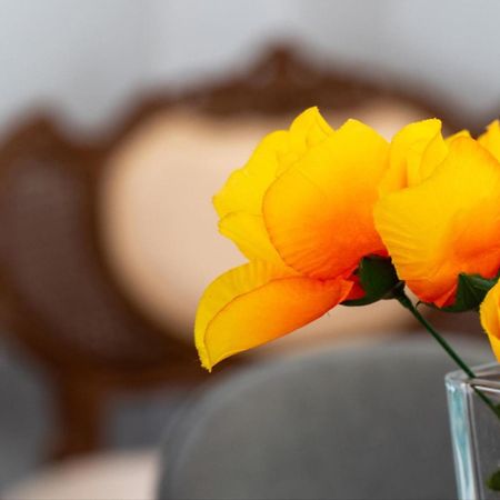 Summer Cottage Sinarades Экстерьер фото